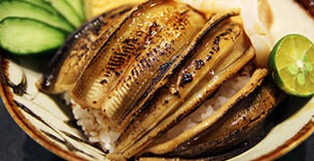 【美食】新北永和 HANA壽司。大尾星鰻滿口幸福