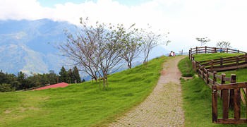 【南投旅遊】清境農場-青青草原｜這真的不是在紐西蘭，也不是外蒙古！