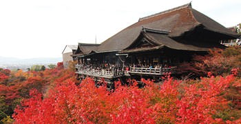 【京都旅遊】清水寺｜秋末楓紅火燒清水舞台