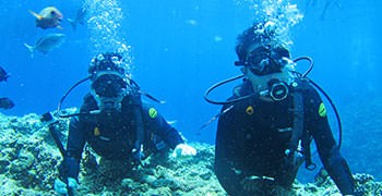 【沖繩旅遊】青之洞窟潛水二訪｜不會日文也能輕鬆玩！