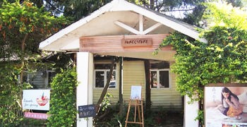 【咖啡店】南投埔里 森心日春。老宅慢活咖啡店