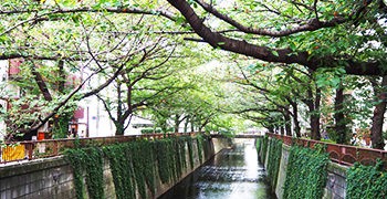 【東京旅遊】中目黑一日散步地圖｜交通 購物 美食全攻略