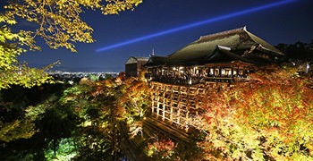 【京都旅遊】清水寺 夜楓｜夜楓名所首選