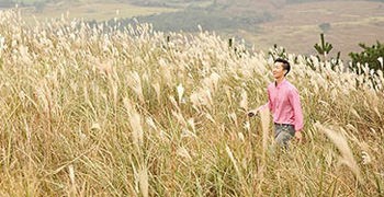 【濟州島旅遊】多羅非岳｜小火山健行遇見紫芒花