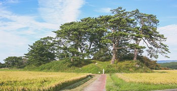 【秋田旅遊】象潟九十九島｜天然紀念物，稻田版夏日松島