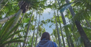 【沖繩主題樂園攻略】「東南植物樂園」好玩嗎？｜水豚君&網美椰樹林