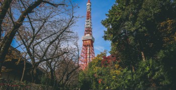 【2024東京自由行攻略】交通/景點/美食/住宿/行程/花費 旅遊懶人包